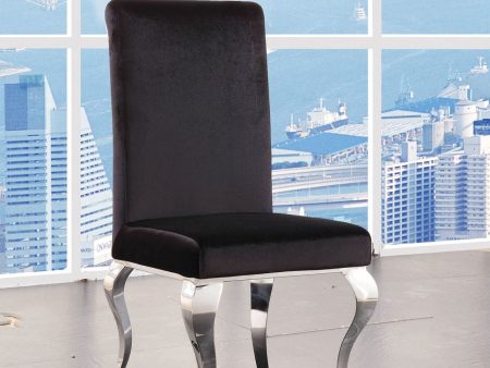 Fabiola - Side Chair (Set of 2) - Fabric & Stainless Steel Discount