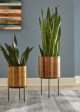 Donisha Planter (Set of 2) Hot on Sale