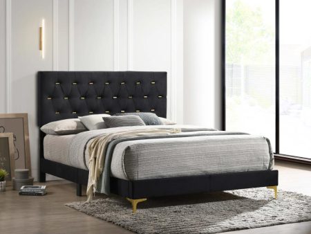 Kendall Black Bed Online Hot Sale