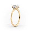 The Ashley Set With A 2.5 Carat Round Moissanite Online